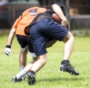 OTFL Gallery Image